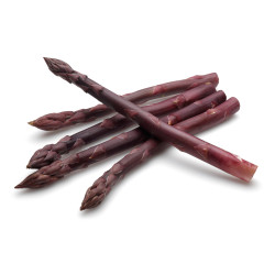 ASPERGE POURPRE CAL16+ 5KG